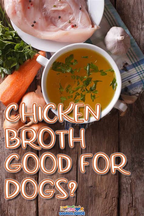 Is chicken broth good for dogs. Things To Know About Is chicken broth good for dogs. 